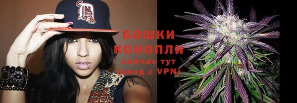 стафф Володарск