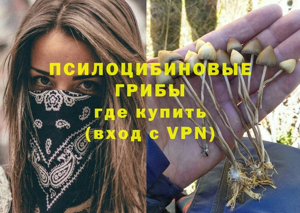 стафф Володарск