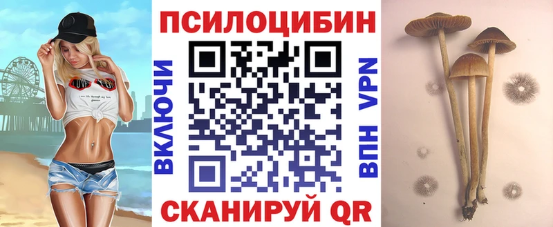 Галлюциногенные грибы мухоморы  сколько стоит  Чудово 