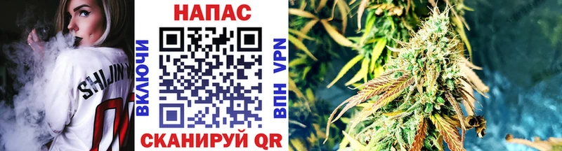 хочу   Чудово  Бошки марихуана SATIVA & INDICA 